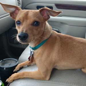 Meet your Posher, Britany